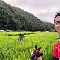 朝6時から田んぼの雑草取り。ヒエがひえええええええな感じで爆伸びでした