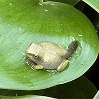 田んぼオタク 大きくなったね