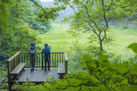 山門水源の森探検