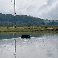 新潟県長岡市では田植えの次の日にロボを投入しました。今日は大雨でしたが、明日からの天気に期待です！