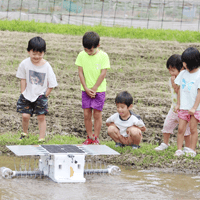 杵築市の水田で「アイガモロボ」の実証実験 泥をかき回し水底の雑草自動除去