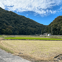 久しぶりに福地（しろち）の田んぼで農作業🌾