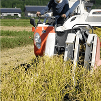 連日の雨で進まなかった稲刈りも、ようやく昨日で終えることが出来ました！🌾（もち米以外）