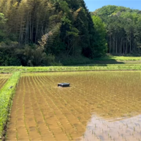 伊豆南地域有機農業協議会主催の見学と意見交換