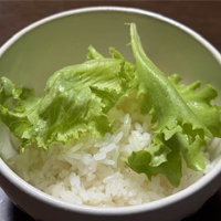 稲作家 激ウマ、ご飯のレタス巻き。