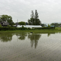 慣行栽培農家が除草剤の代わりに⁈