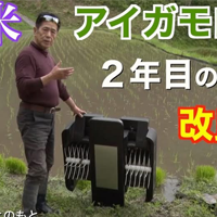 坂本米の里2025田植え