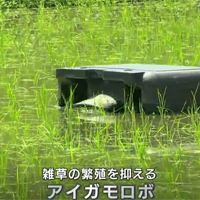 TBS NEWS DIG