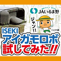 埼玉県川越のJAいるまの発信の動画