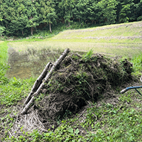 ワタシハ タンボ チョットデキル。 I can tend rice paddies a little.