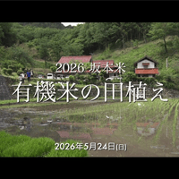 坂本米の里2026「田植え風景とアイガモロボ」